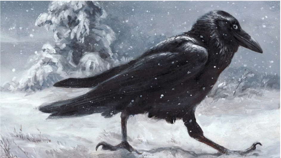 Ворон щука. "Ворона"? (А. блок "ворона"). Ворона на снегу. Ворон арт. Ворона живопись.